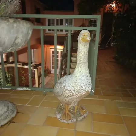 La Maison Rose نمور