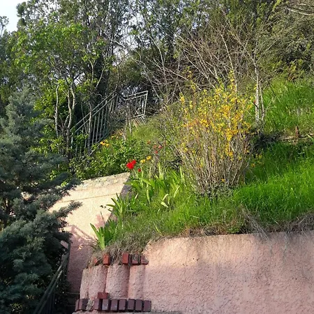 La Maison Rose نمور