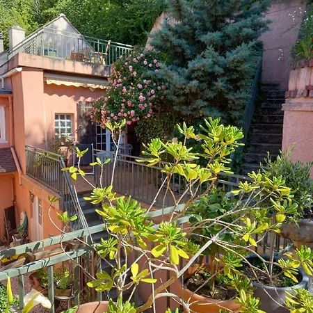 La Maison Rose *