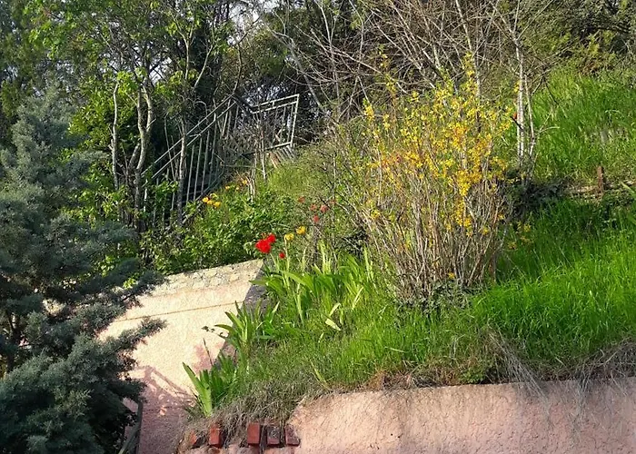 La Maison Rose Nemours